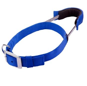 XXX M PP BLUE Basic Collar (37-47cm)