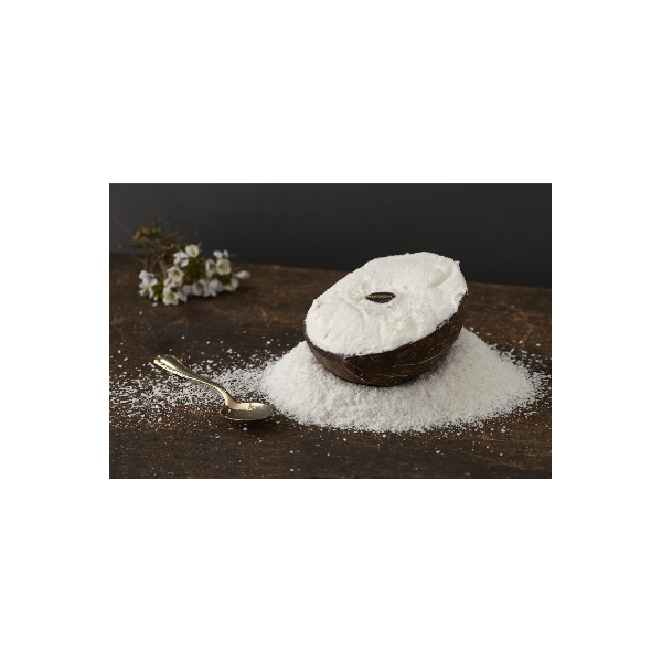 FRUTTO COCCO 100g X 12 BOX